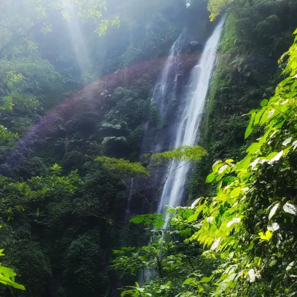 Hiking Tracking ke Curug Cibeureum Gunung Gede Pangrango Natura Sukabumi (1)
