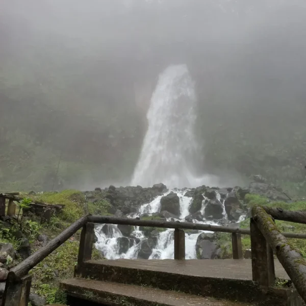 Hiking Tracking ke Curug Cibeureum Gunung Gede Pangrango Natura Sukabumi (3)