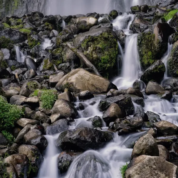 Hiking Tracking ke Curug Cibeureum Gunung Gede Pangrango Natura Sukabumi (5)