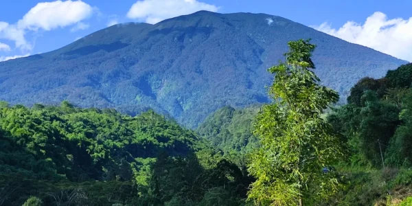 Wisata Natura Selabintana (2)